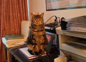 TeeKay Jewellery - cat control